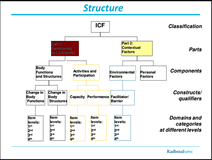 ICF-structure