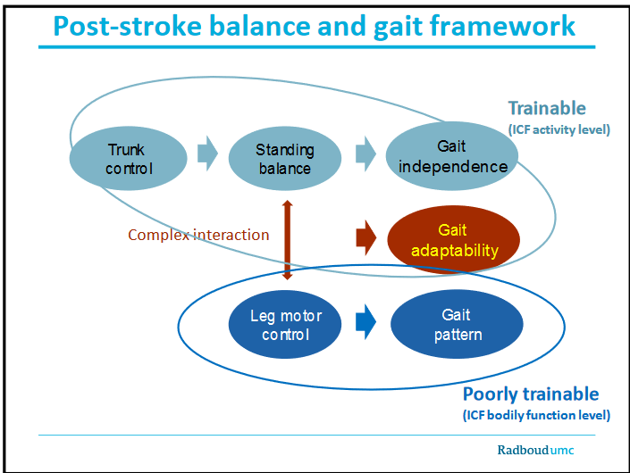 post-stroke balance and gait framework